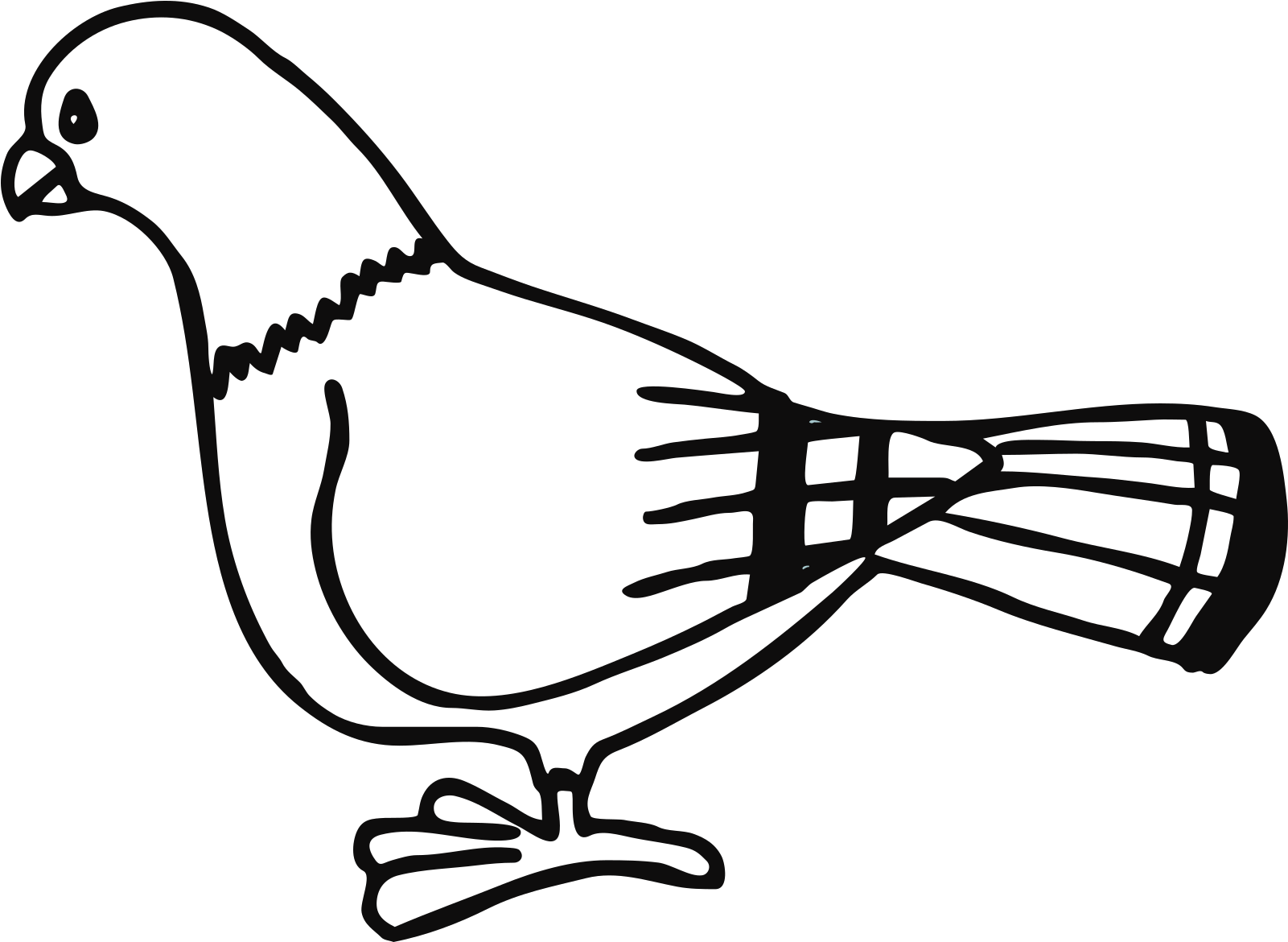 Dove Clipart Black And White - Pigeon Coloring - Png Download (960x702), Png Download