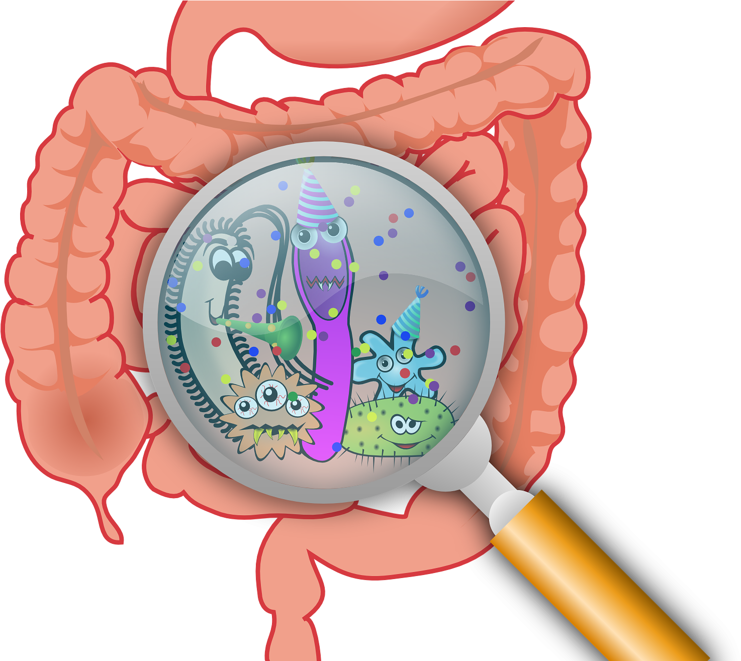 First Gut Bacteria May Have Lasting Effect On Ability - Essential Handbook To A Healthy Gut Clipart (1483x1314), Png Download