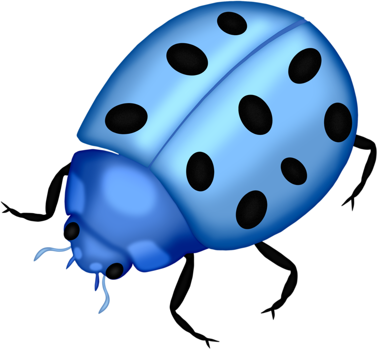 Craft - Blue Ladybird Clipart (800x722), Png Download