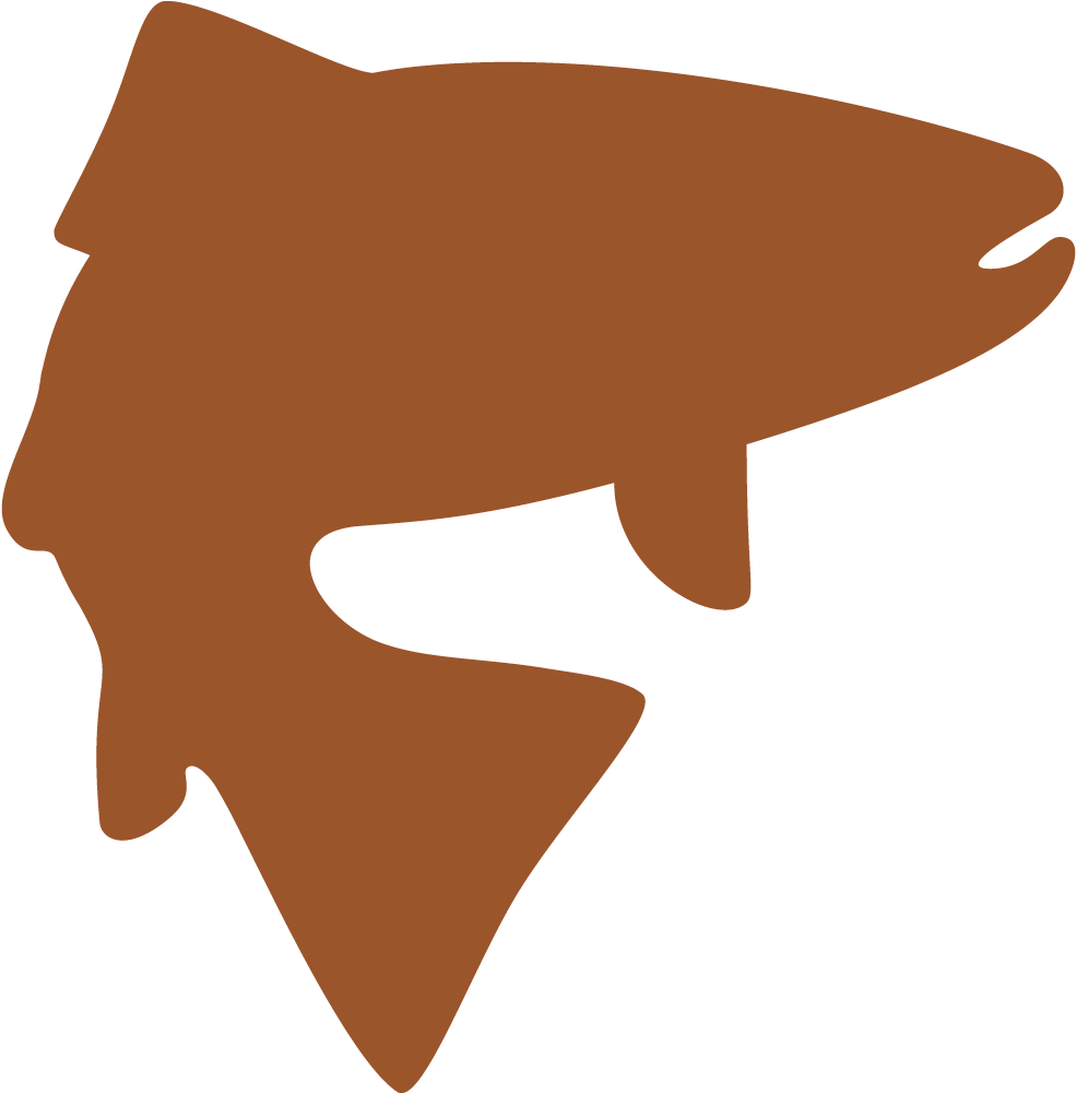 Fly Fishing Trips We Offer - Fly Fishing North Georgia Clipart (1000x1000), Png Download