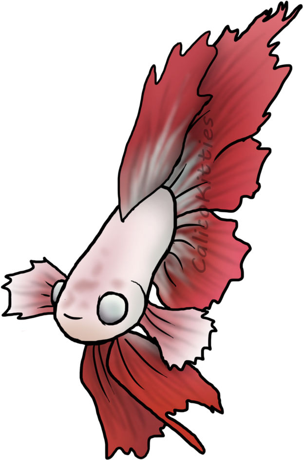 Clipart Transparent Download Betta Drawing Feather - Drawing - Png Download (771x1036), Png Download