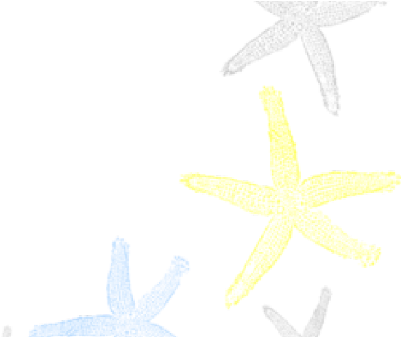 Starfish Corner Border Png Clipart (640x480), Png Download