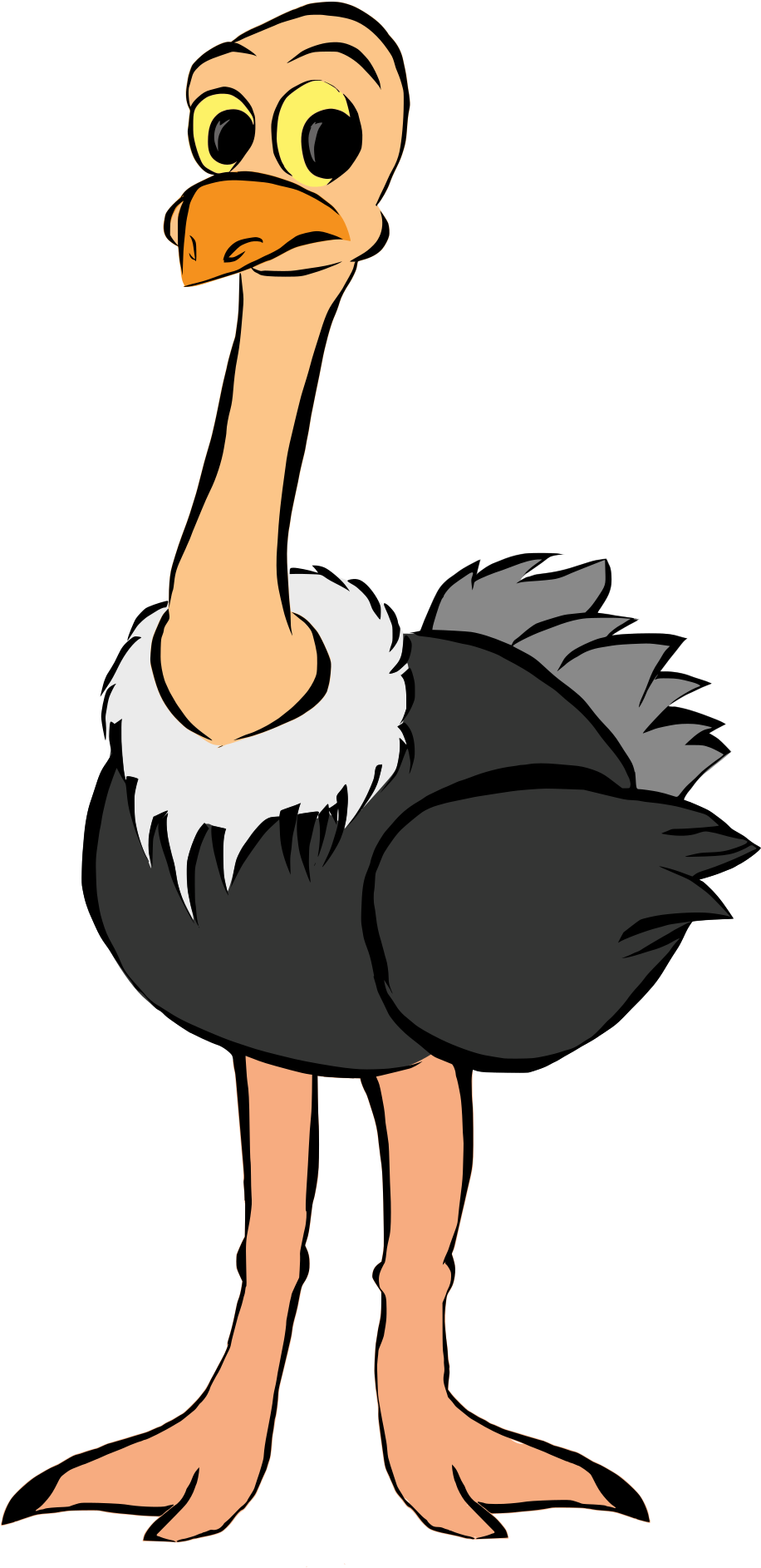Gallery Of Kisspng Common Ostrich Bird Clip Art African - Strace Transparent Png (1000x1924), Png Download