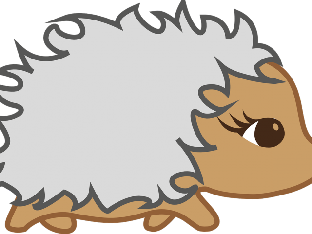 Zoo Clipart Female - Erizos Animados - Png Download (640x480), Png Download