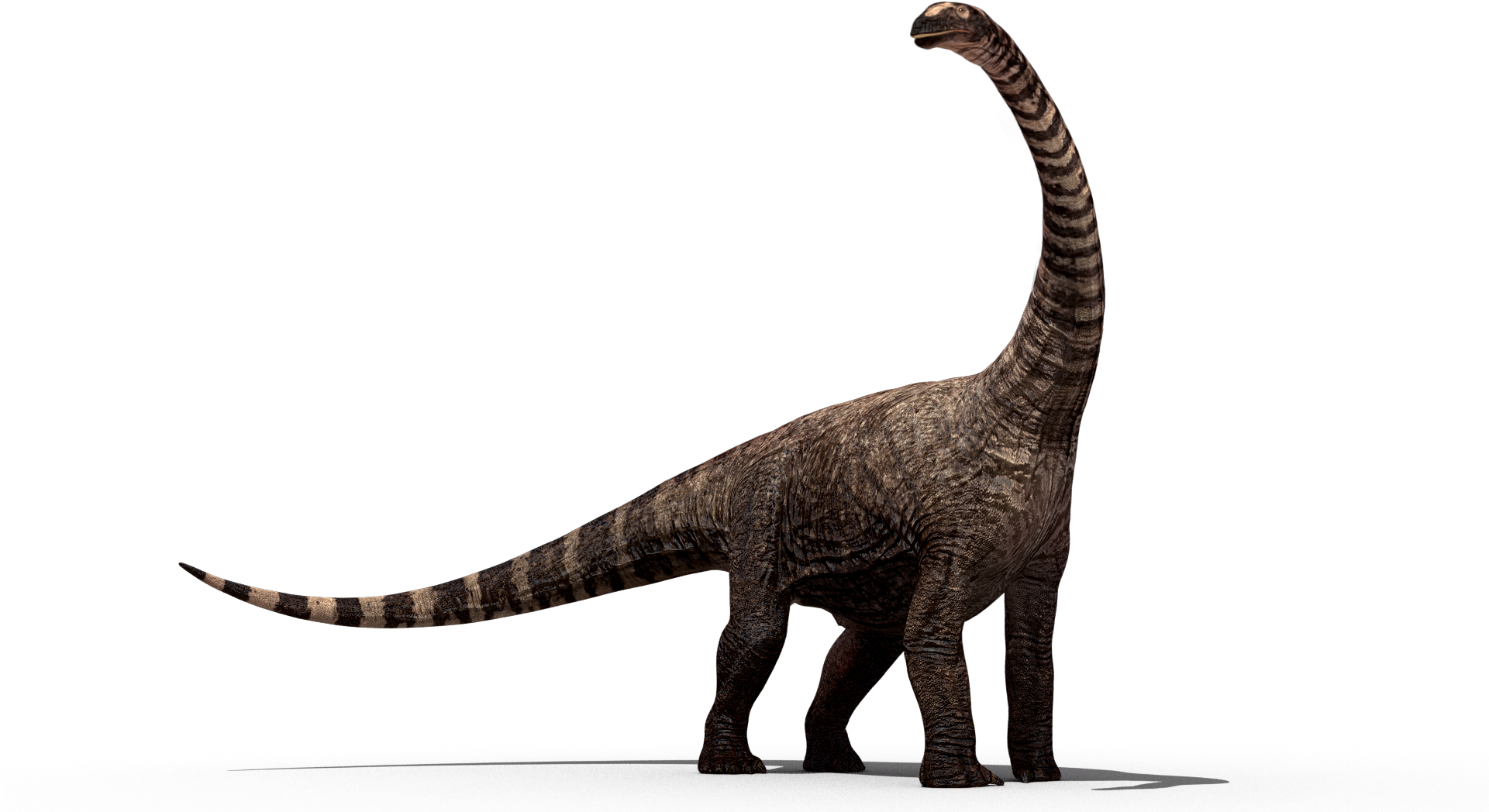 Dinosaur Png Images - Dinossauro Png Png Clipart (1920x1080), Png Download