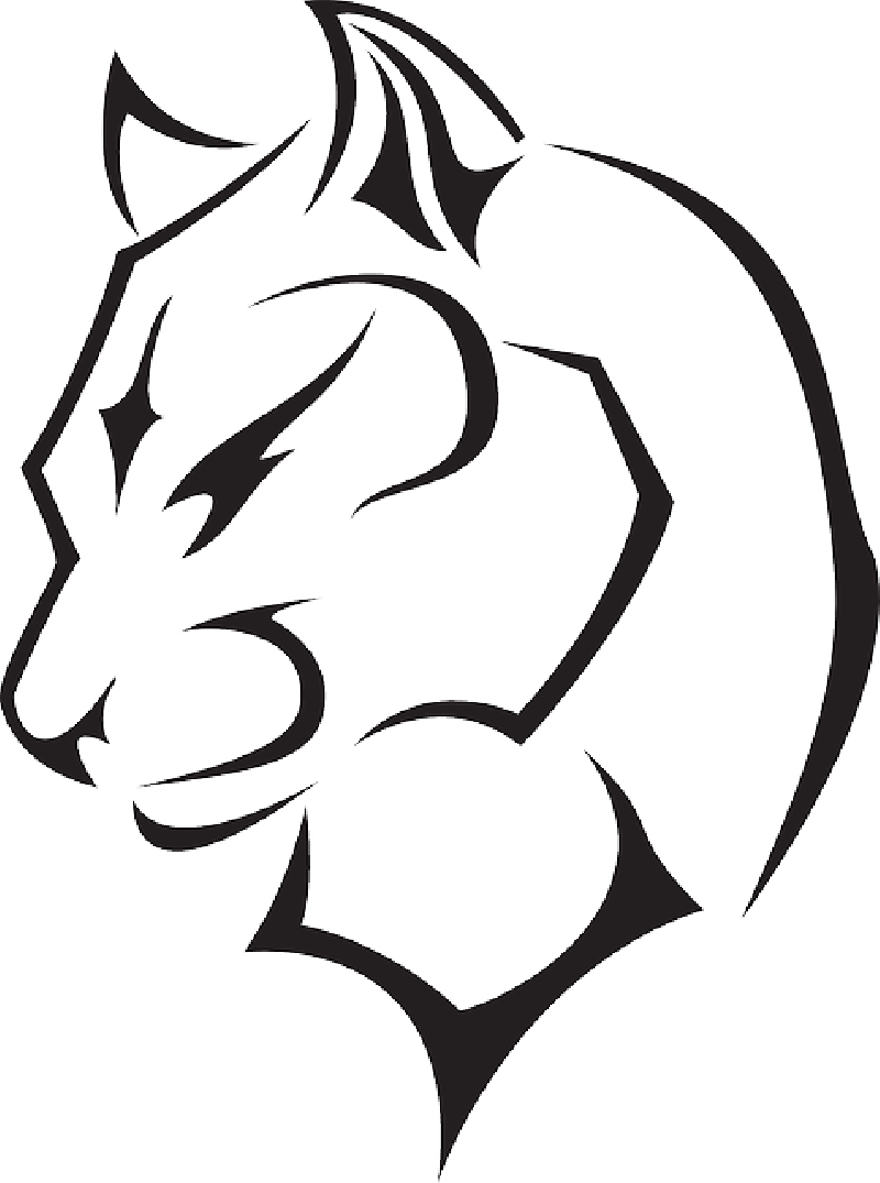 Coconut Clipart Face - Black Panther Drawing Animal - Png Download (800x1075), Png Download