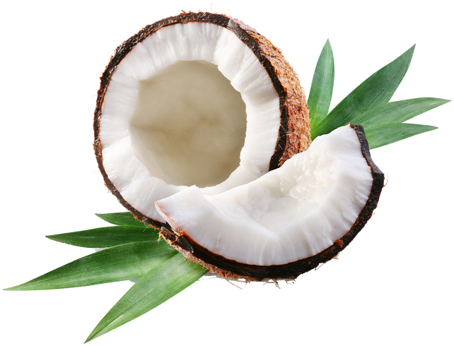 Clip Art Royalty Free Why We Break Coconuts - Coconut Oil: Teach Me Everything I Need - Png Download (650x509), Png Download