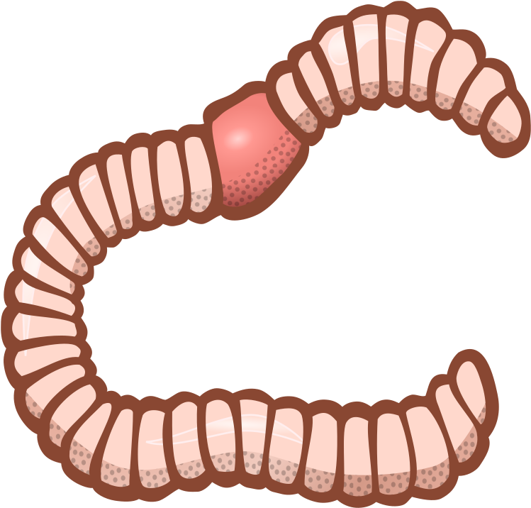 Earthworm Computer Icons Encapsulated Postscript Download - Worm Clipart - Png Download (782x750), Png Download