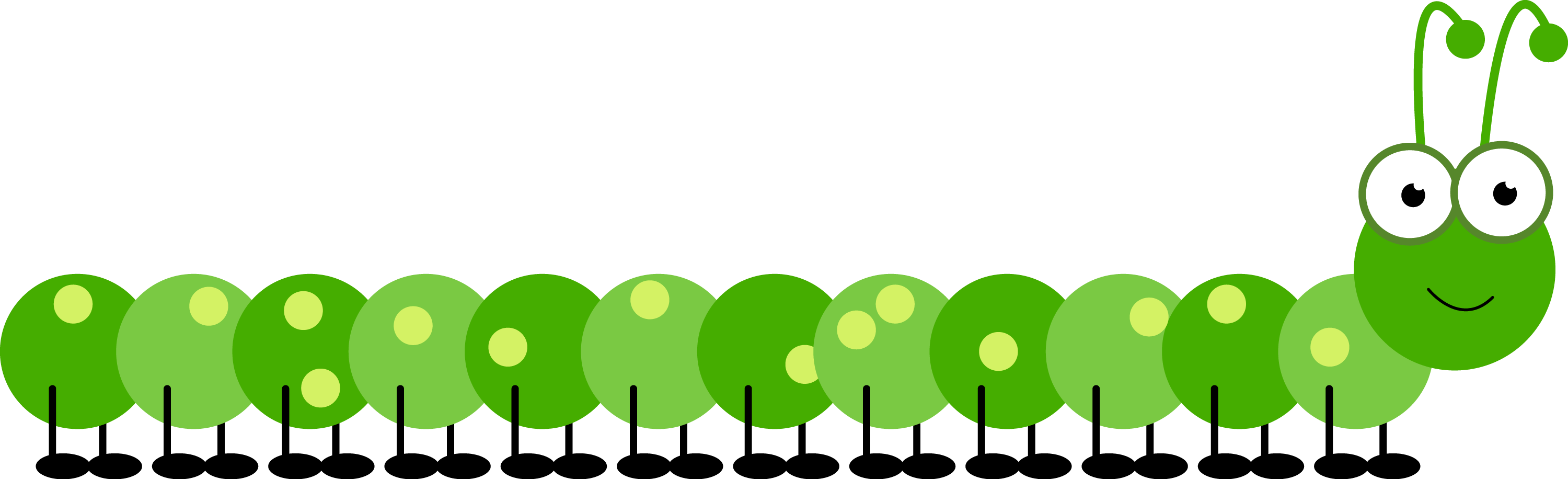 Caterpillars - Caterpillar Png Clipart (3000x916), Png Download