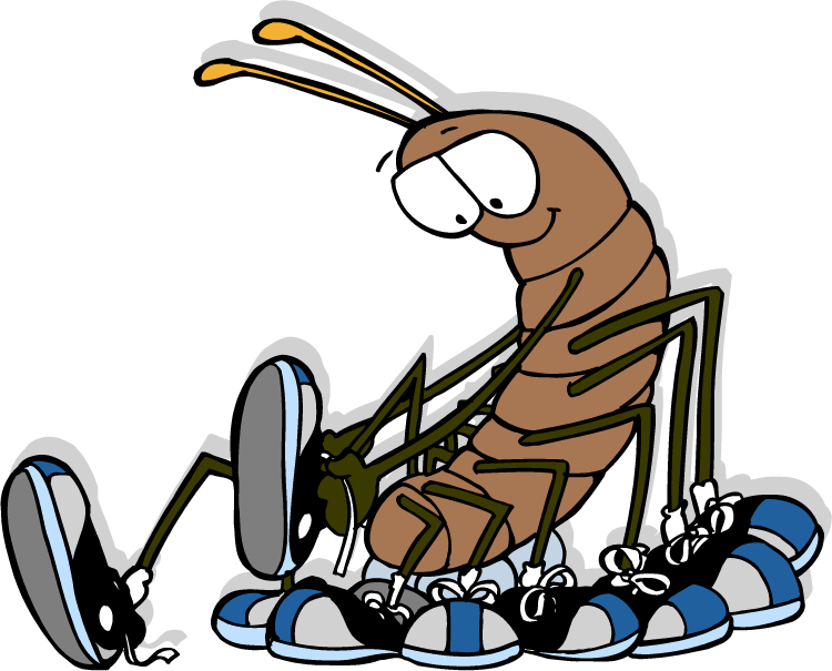 Centipede - - Cartoon Centipede Wearing Shoes Clipart (750x605), Png Download