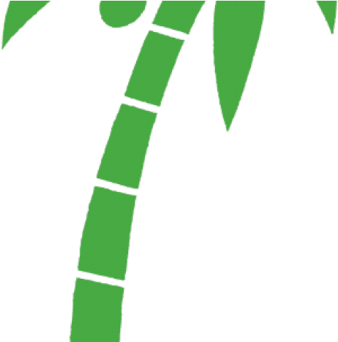 Coconut Clipart Coconut Farm - Clip Art - Png Download (640x480), Png Download