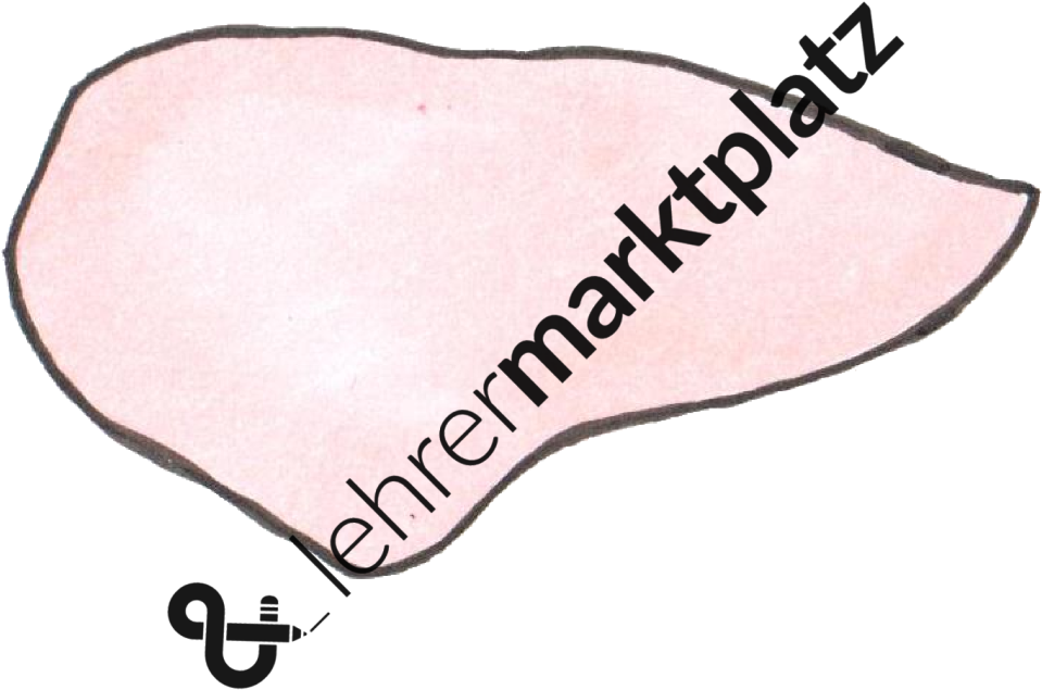 ‹ › - School Clipart (1233x800), Png Download