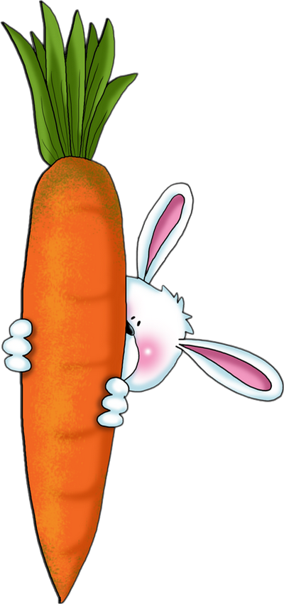 Lapin & Carotte - Lapin Carotte Dessin Clipart (400x850), Png Download