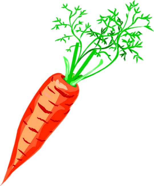 Carrot Drawing Png - Скачать Картинку Морковь Clipart (540x650), Png Download