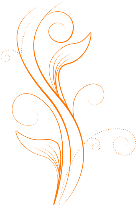 Swirl Transpa Png Pictures Free Icons And Backgrounds - Illustration Clipart (1024x768), Png Download