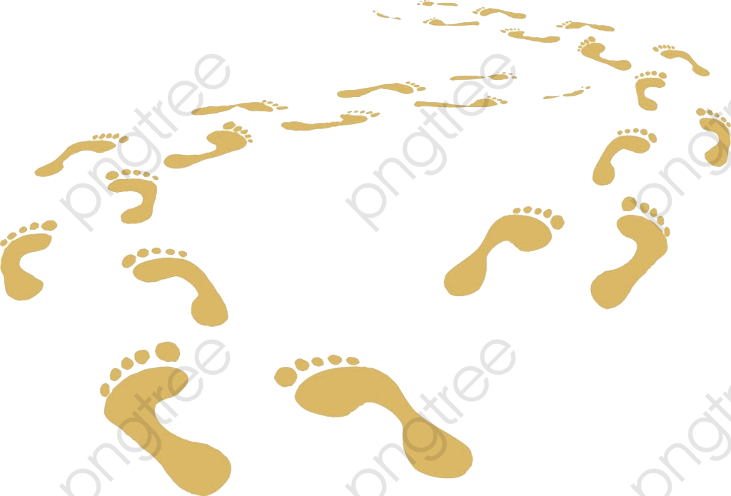 Feet Clipart - 0 - 0 - Foot Prints, Right Foot Prints, - Foot - Png Download (1024x695), Png Download