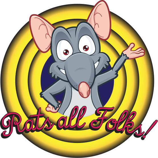 Cartoon Clipart (556x555), Png Download