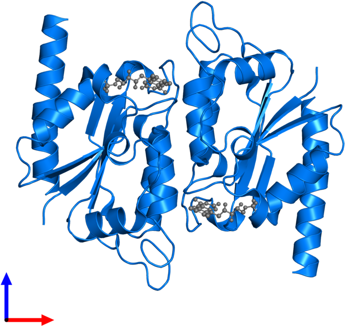 <div Class='caption-body'>pdb Entry 3f2v Contains 2 Clipart (800x800), Png Download