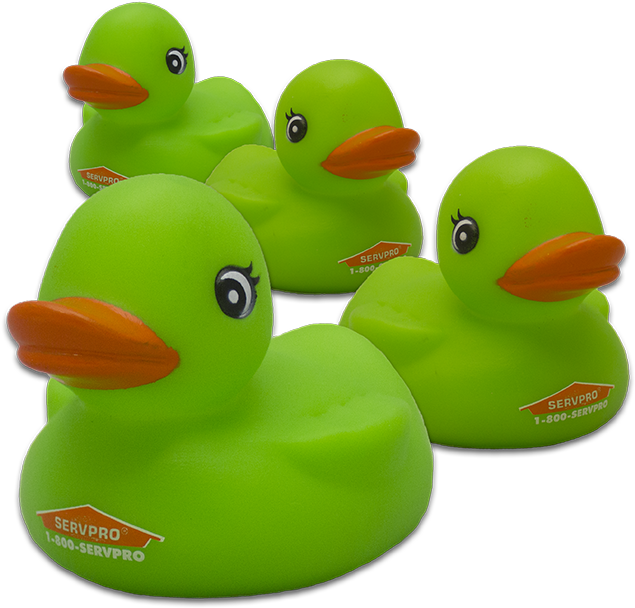 Rubber Ducky Png - Green Rubber Duck Clipart (710x650), Png Download