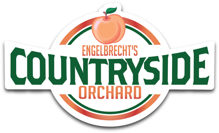 Clip Art - Png Download (705x448), Png Download