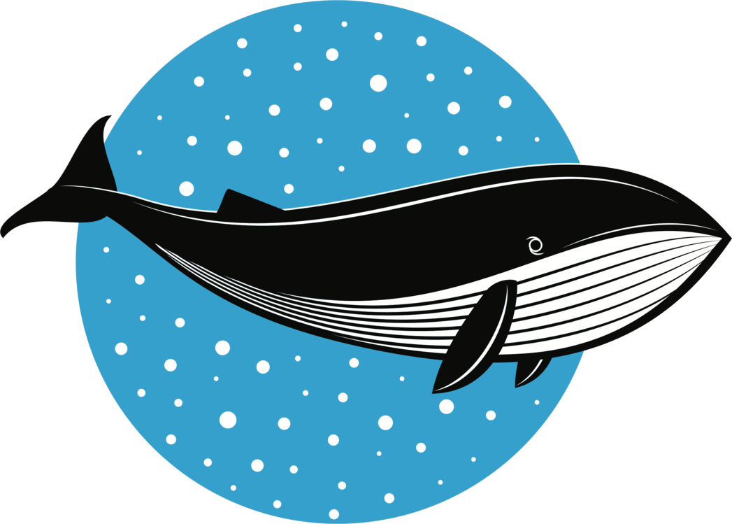 Whales Fish Logo Dolphin Drawing Cc0 - Blue Whale Clipart (1047x749), Png Download