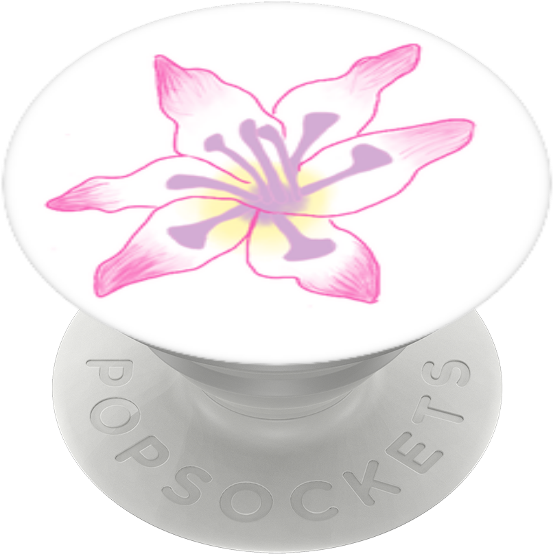 Gladiolus Flower, Popsockets - Lily Clipart (806x808), Png Download