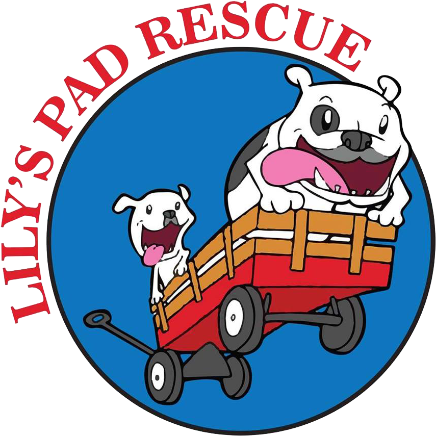 Lily Pad Clipart Lake - Png Download (960x957), Png Download