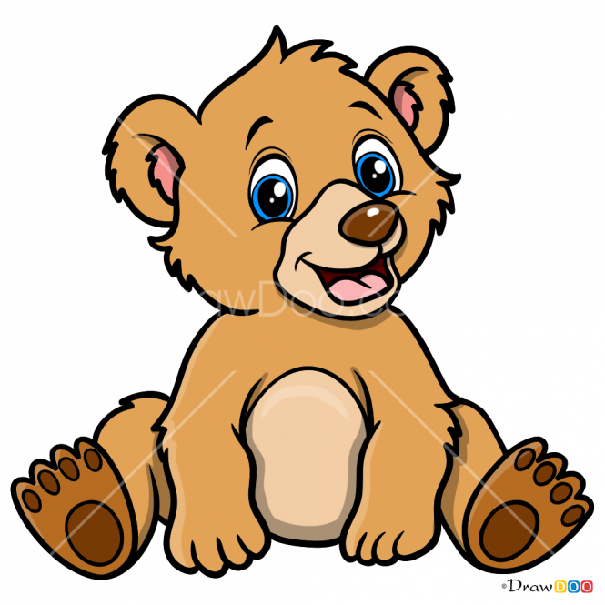 Animal Baby - Draw A Baby Bear Clipart (665x665), Png Download