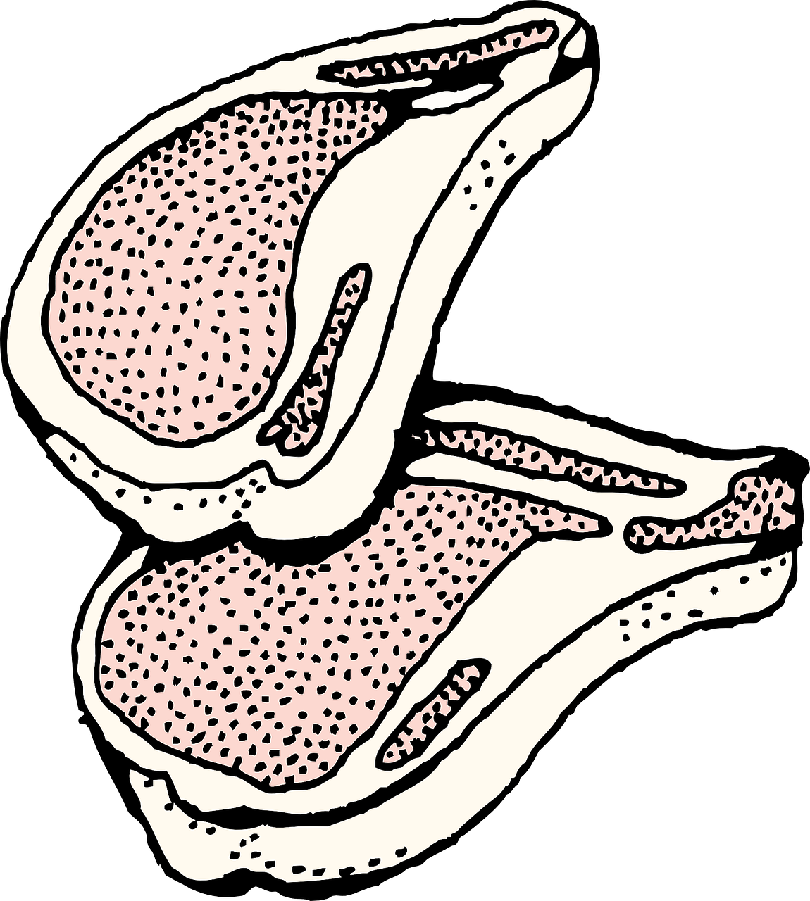 Chuleta De Cerdo Dibujo Clipart (1150x1280), Png Download