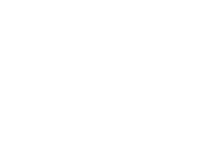 Beef Clipart Heifer - Market Steer Clip Art - Png Download (640x480), Png Download