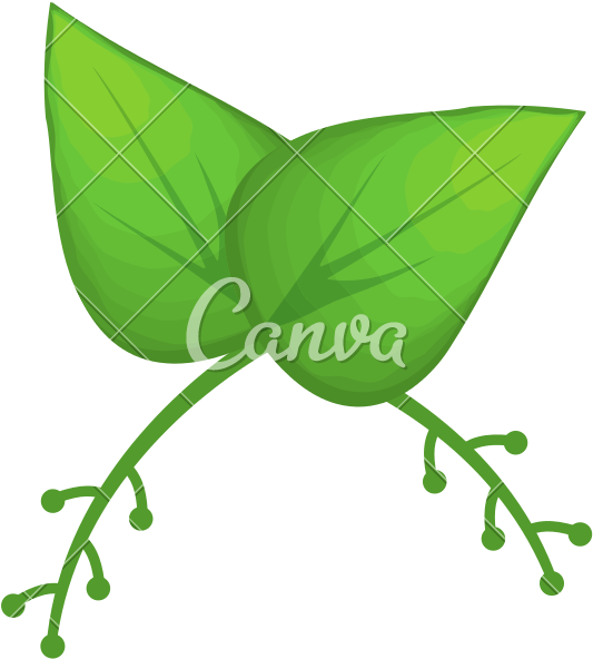 Floral Png Rustic - Canva Clipart (800x800), Png Download