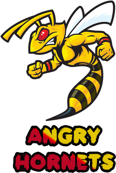 Characteristics Of Common Wasps And Bees Clipart (600x600), Png Download