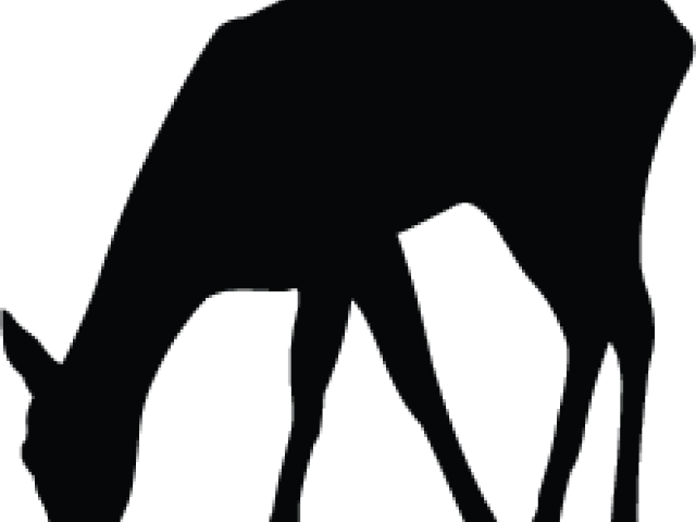 Silhouette Clipart (640x480), Png Download