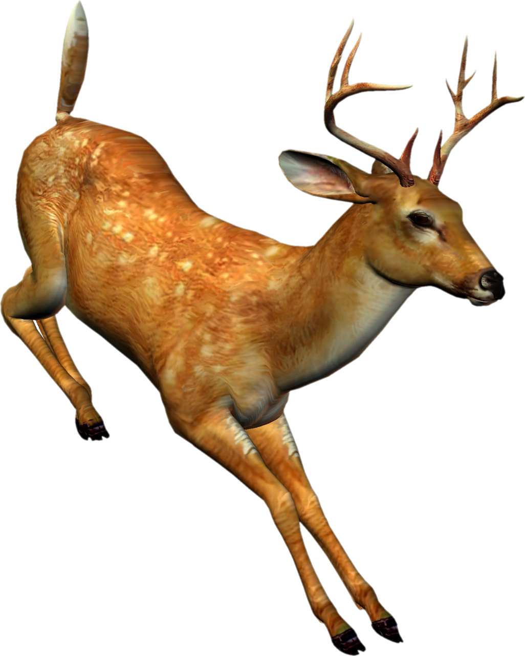 Яндекс - Фотки - Tube Animaux De La Foret Clipart (1026x1280), Png Download