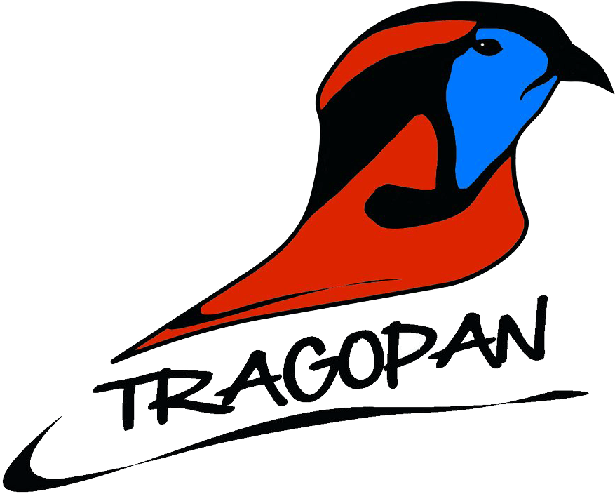 Tragopan V Tarnzelt Entwickelt Für Tier- & Naturfotografie Clipart (1200x855), Png Download