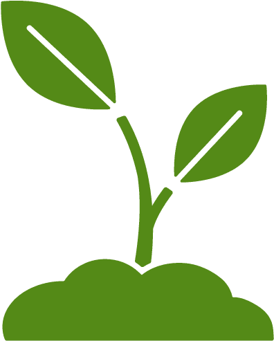 Vegetables - Illustration Clipart (577x577), Png Download