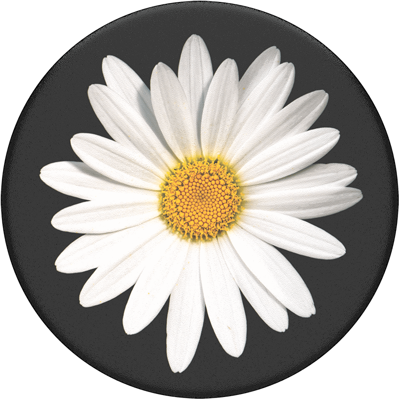 White Popsockets Popgrip - Daisy With Black Background Clipart (1000x1000), Png Download