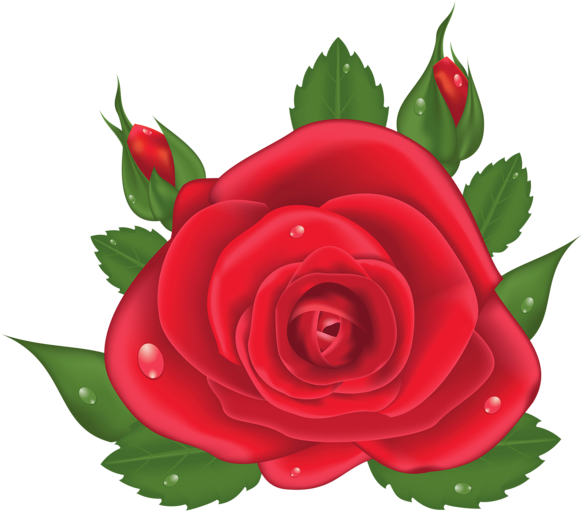 Red Rose Png, Red Roses, Love Rose, Clip Art, Plants, - Flores Vermelha Em Png Transparent Png (600x524), Png Download