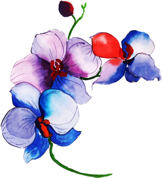 Free Png Floral Bouquets - Tulip Clipart (800x800), Png Download