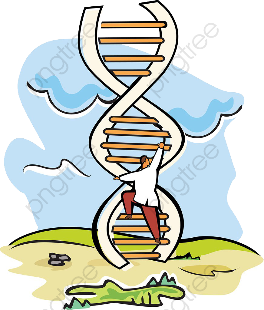 Scientific Experiments Dna Ladder - Dna Ladder Drawing Clipart (872x1024), Png Download