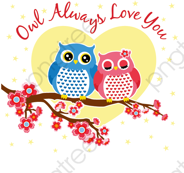 Love Clipart Owl - Cute Owl Couple - Png Download (612x594), Png Download
