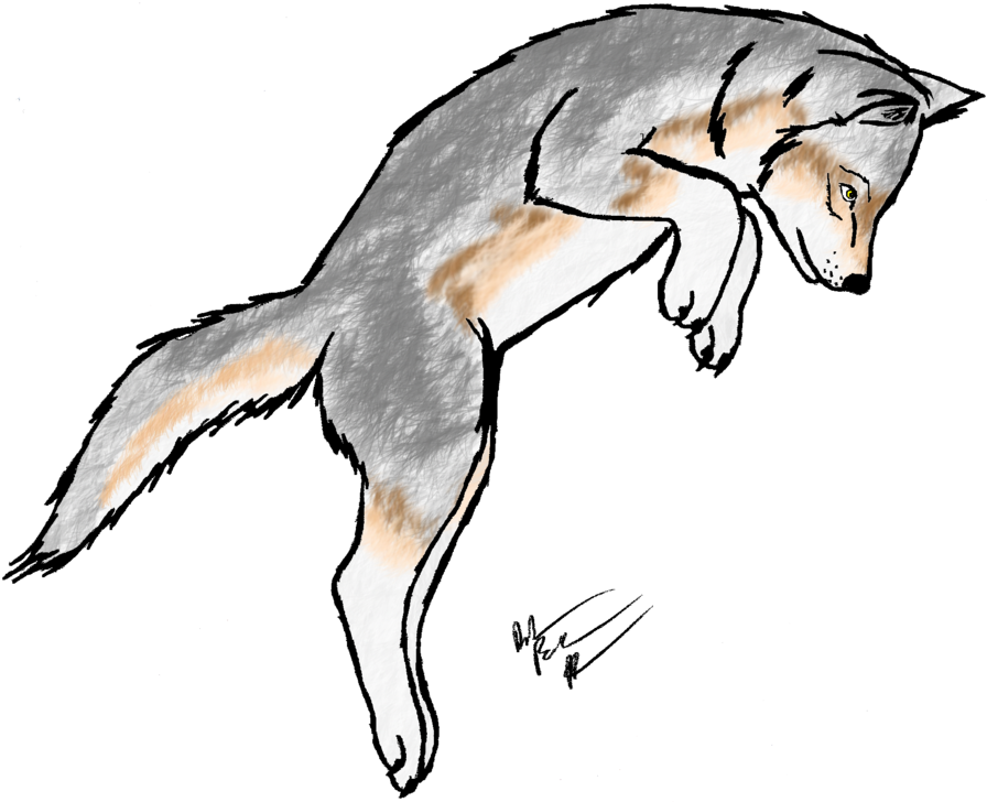 Wolf Clipart Wolf Pup - Transparent Wolf For Coloring - Png Download (896x728), Png Download
