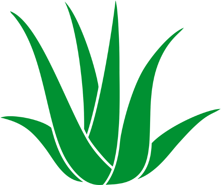 Good Medical Balance Center Chemnitz In Chemnitz With - Agave Clipart (787x700), Png Download