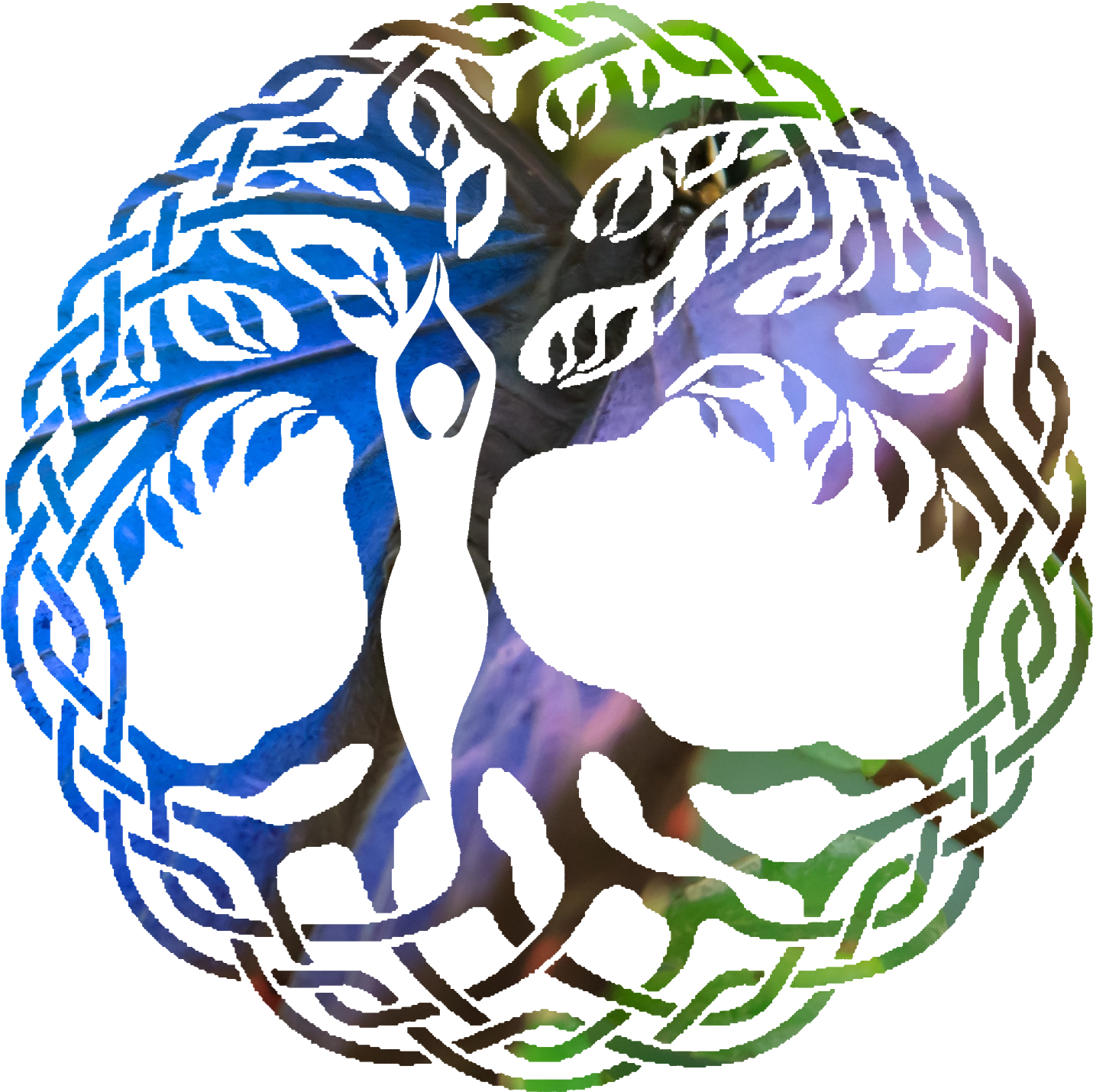 Illustration Clipart (1540x1524), Png Download