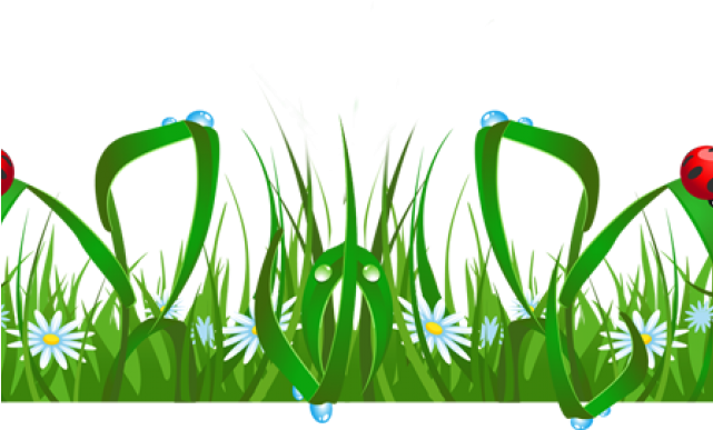 Grass Border Cliparts - Summer Background - Png Download (640x480), Png Download