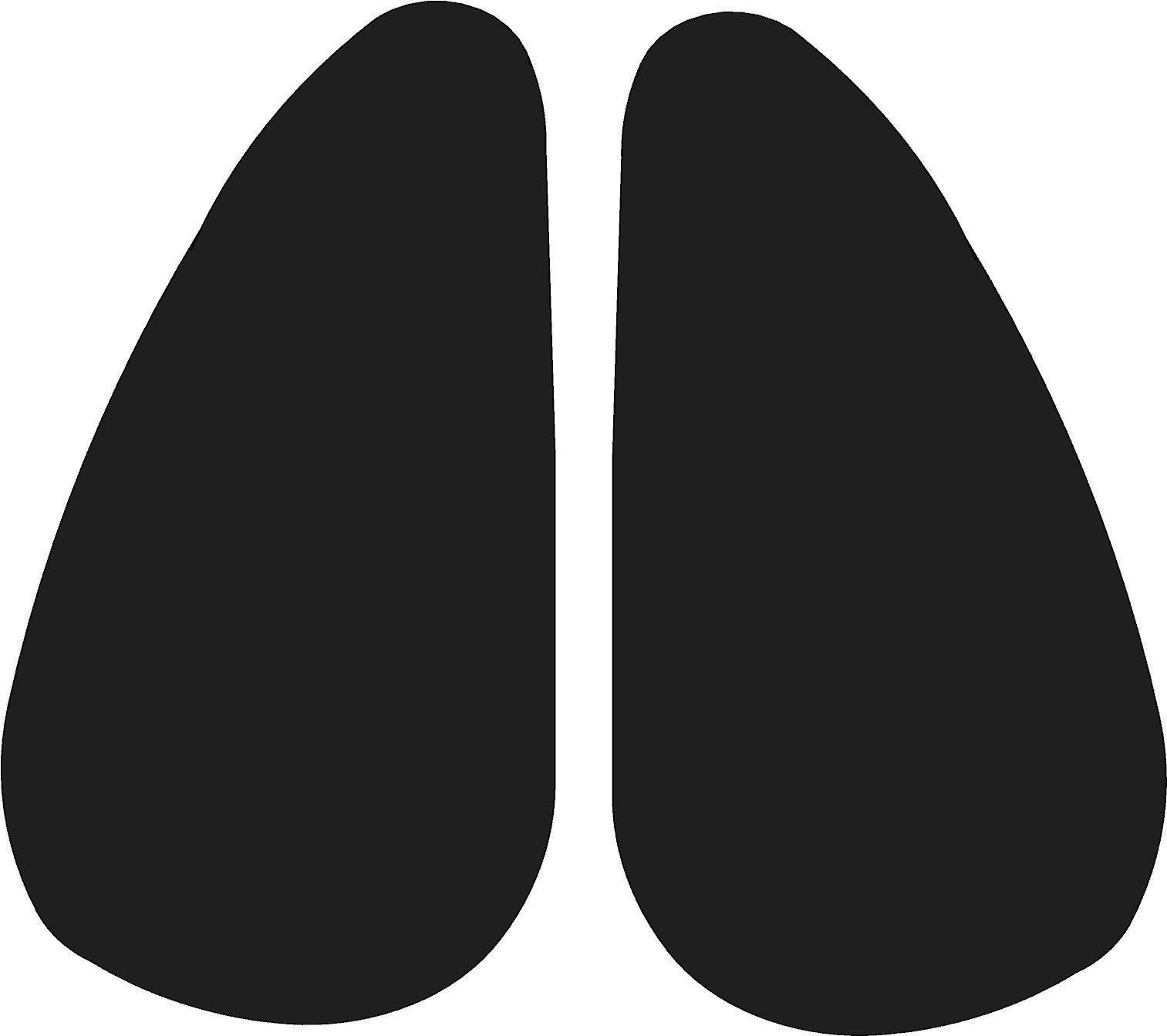 Footprints Png - Giraffe Footprint Clipart (1513x1343), Png Download