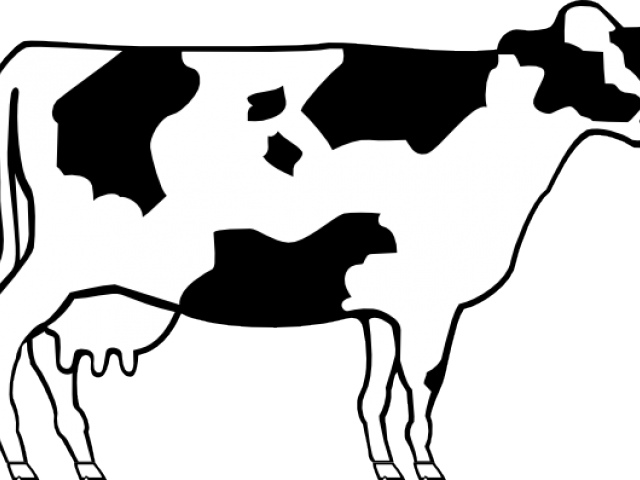 Yoko Milk Spa Salt 300 G. Clipart (640x480), Png Download