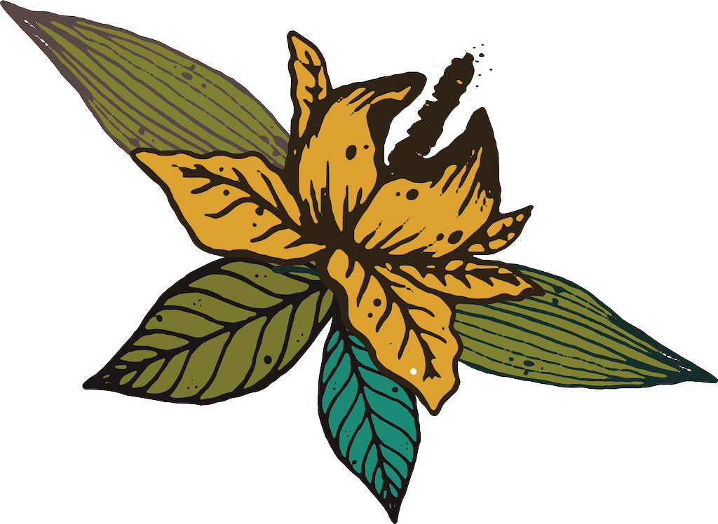 Huarui Caricature Vecteur Jaune - Flower Clipart (1024x748), Png Download