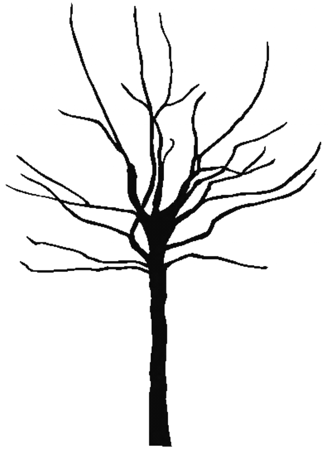 Tree Outline Printable Clipart Best 143849 Free Coloring - Tree Silhouette Icon Vector - Png Download (640x881), Png Download