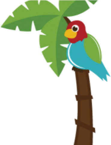 Palm Tree Clipart Parrot - Clip Art - Png Download (640x480), Png Download